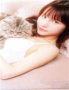 《结衣波多野电影-野花社区高清在线WWW》